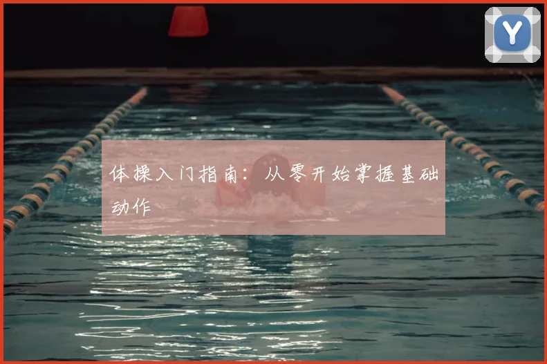 体操入门指南：从零开始掌握基础动作